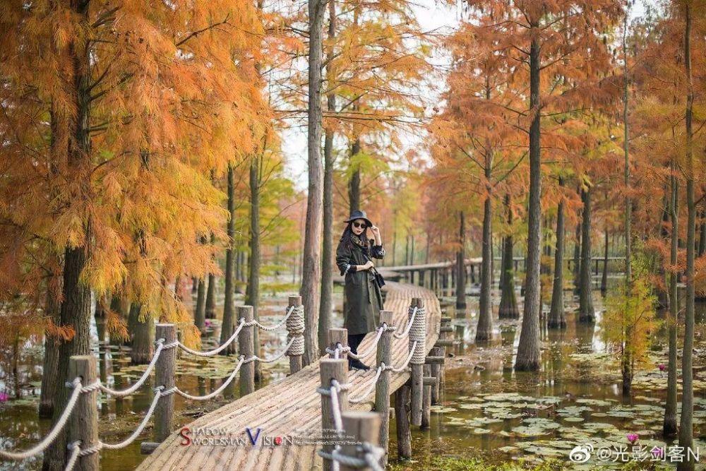 智力水滴