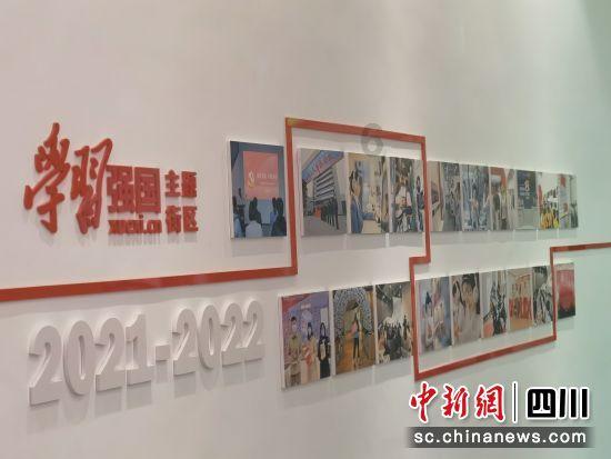 猫瘟笼子一年后还可以用吗?-有问必答平台-专业解答你的问题